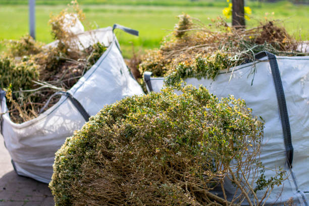 Best Office Junk Removal  in Mount Prospect, IL